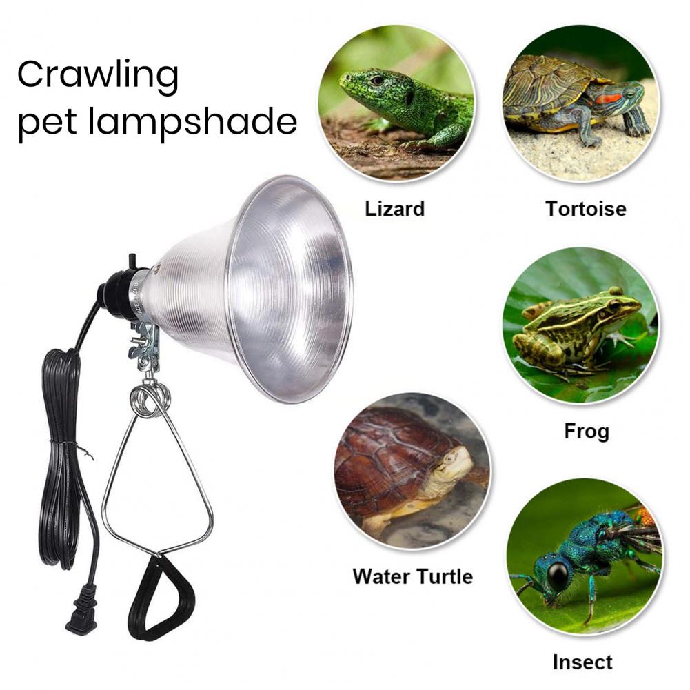 Lampshade for Table Lamp Photo - Photography Lighting Workshops review and price