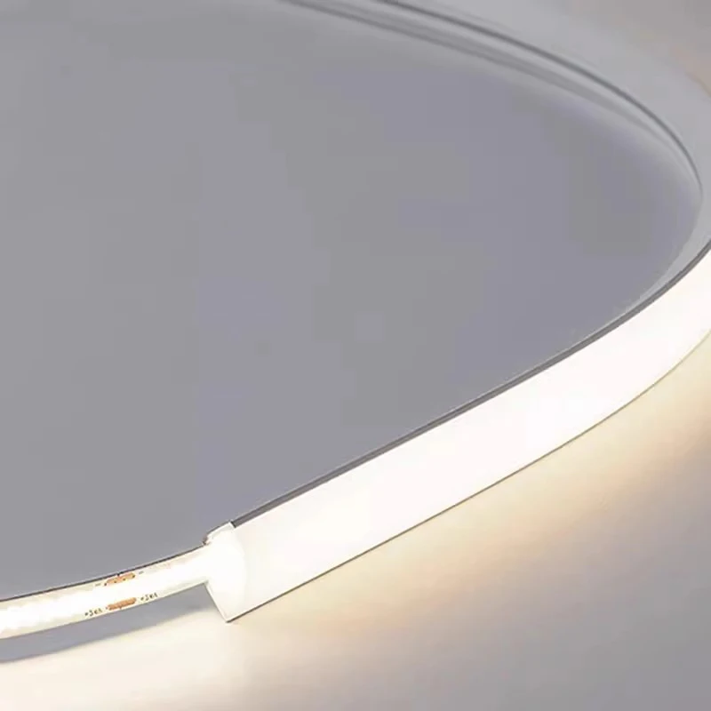 12V Led Silicone Rope Light Wa - Diffusion Material Roll review and price